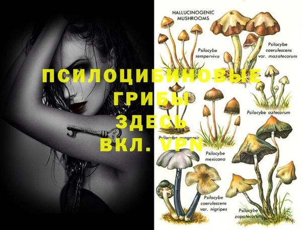 герыч Алзамай